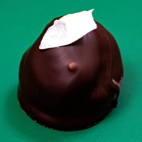 Coconut Raspberry Chocolate Truffle Eldora Craft Chocolate